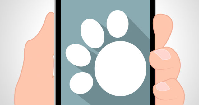 Hasznos és érdekes mobilalkalmazások – kutyák, macskák és gazdik részére